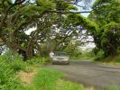 Tantalus Drive
